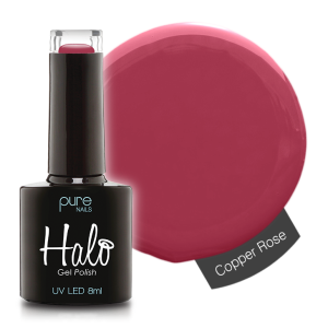 N2816 Copper Rose