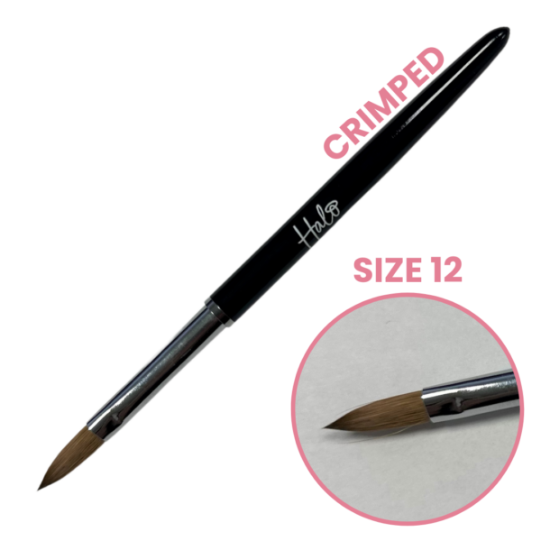 Halo Elite Crimped Brush Size 12 - N2112