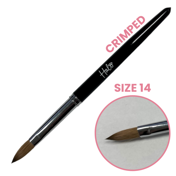 Halo Elite Crimped Brush Size 14 - N2113